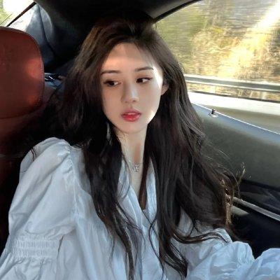 鲨与鲸